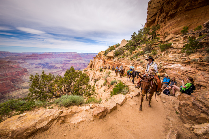 A group of tourists are riding horses on the canyon.