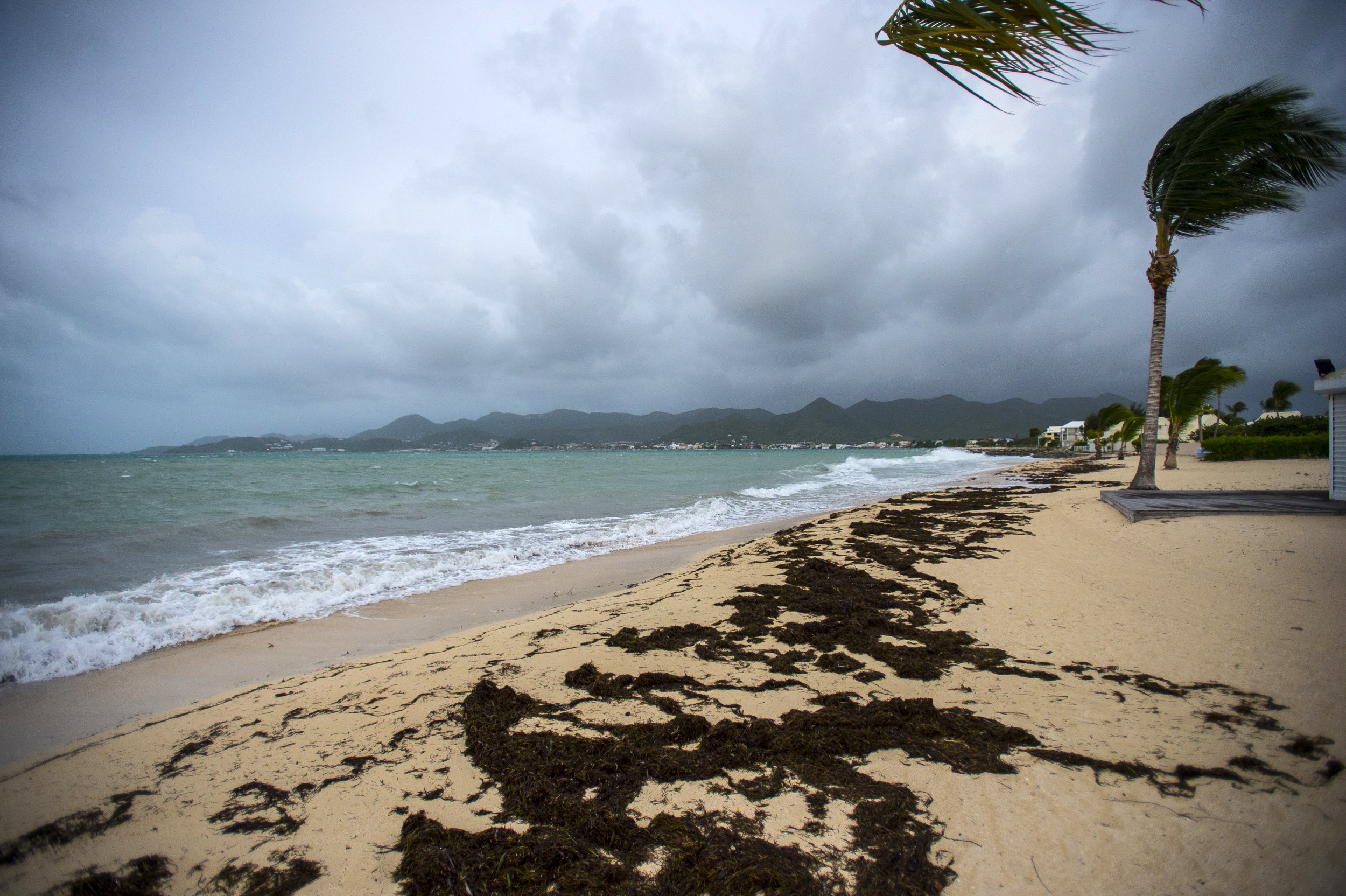 Storm Jose likely to strengthen into hurricane