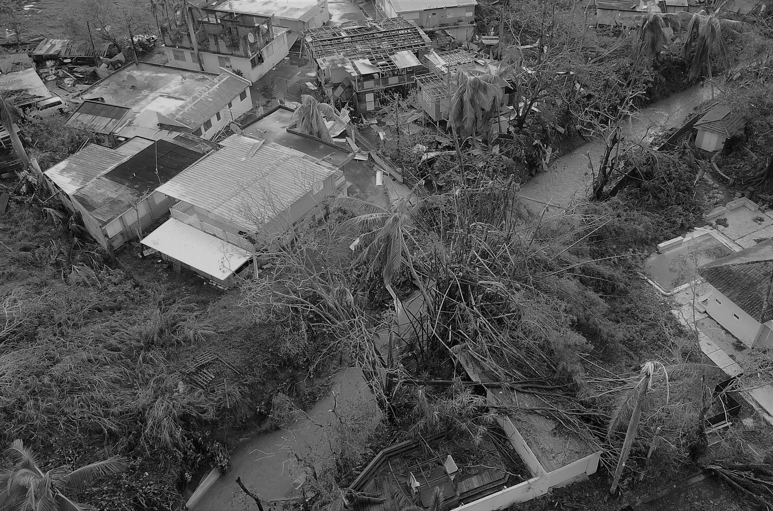 Carnival sees hurricane-whipped Caribbean rebounding by winter