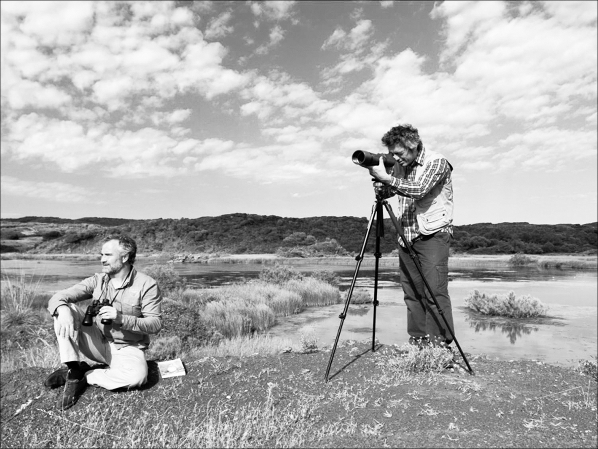 Islas Baleares, un “must” para los birdwatchers
