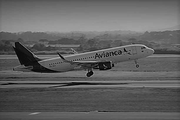 Autorizan a Avianca a contratar pilotos extranjeros para afrontar la huelga