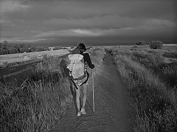 El Camino de Santiago sigue al alza en Portugal, con el 22 % de las salidas