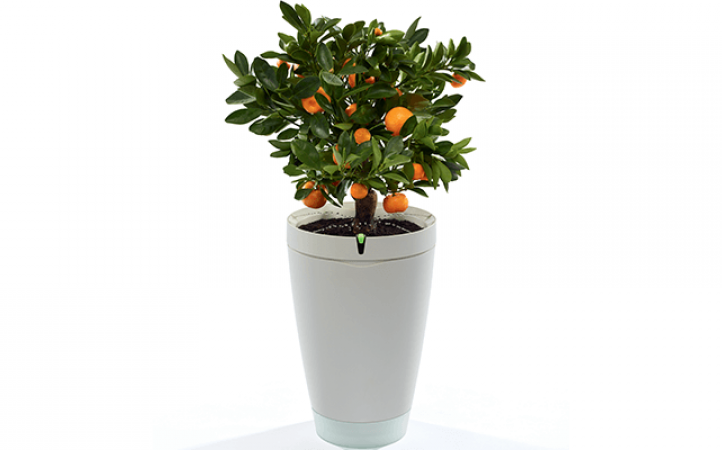 Parrot Pot; la maceta inteligente que se riega sola.