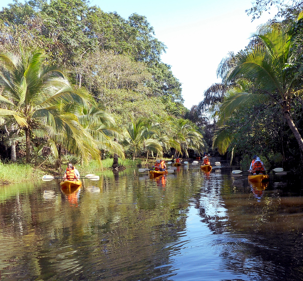 Costa Rica destaca su posicionamiento mundial en turismo sostenible