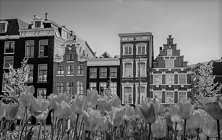 “Expats go home”: Amsterdam’s visitor boom angers locals