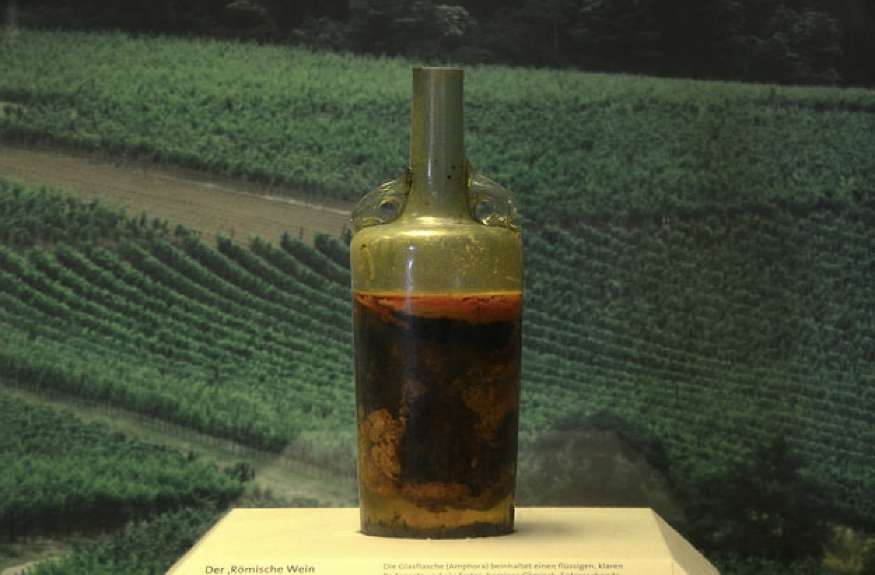 The oldest wine in the world