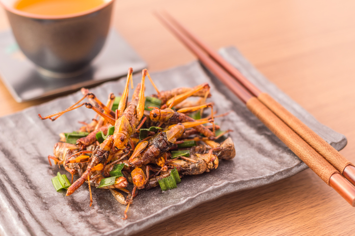 Los insectos saltan hasta la alta cocina en un restaurante de Bangkok