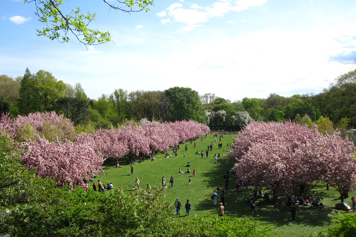 El Jardín Botánico de Brooklyn recibe la primavera a su manera