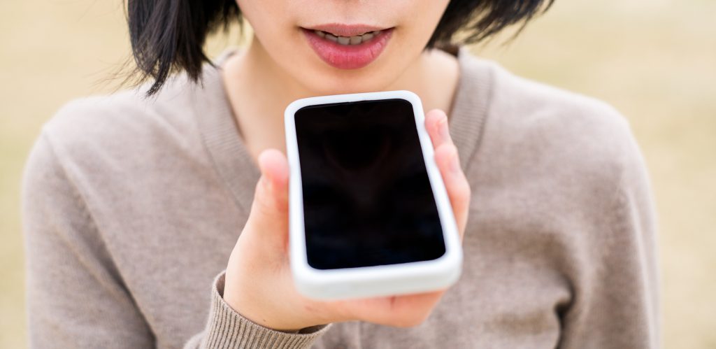 Let your iOS do the translating the next time you go on a trip