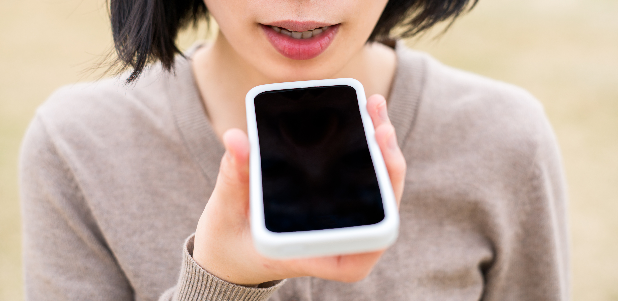 Let your iOS do the translating the next time you go on a trip
