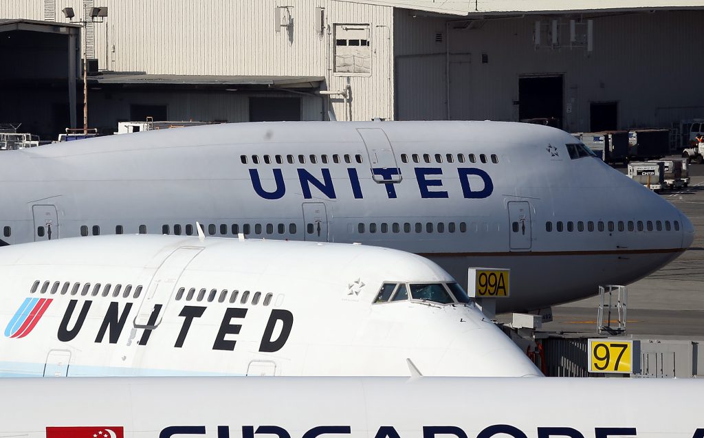 Death of puppy on United flight prompts U.S. agency probe