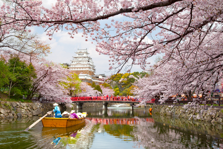 Tokio: Donde los sabores del cerezo florecen en primavera