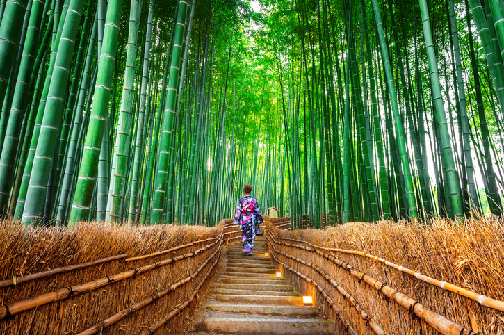 Arashiyama, el bosque mágico de bambú