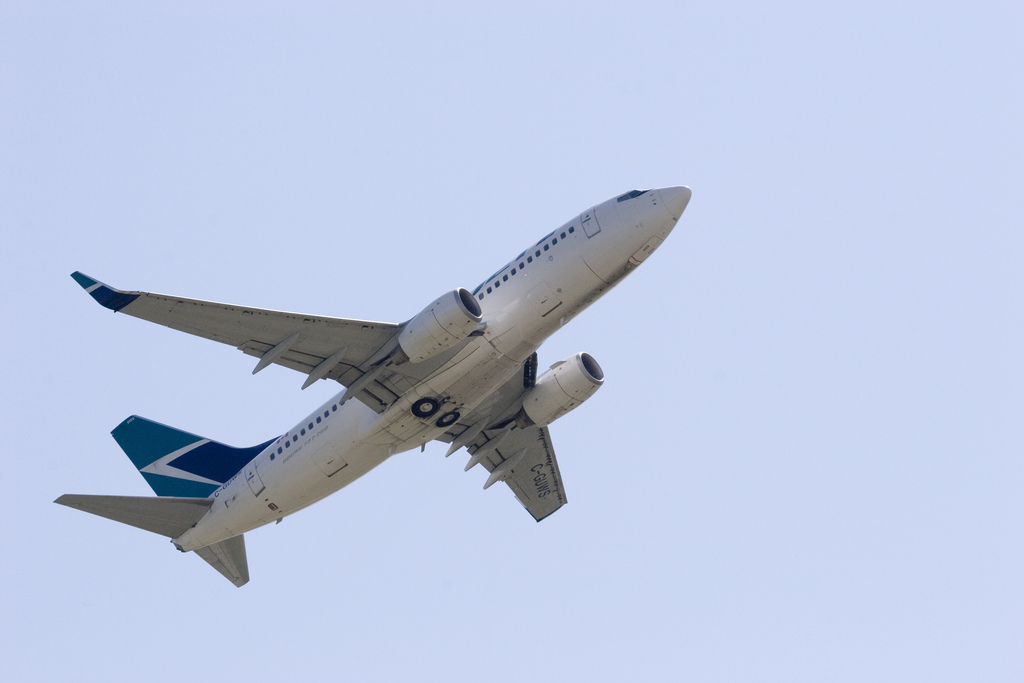 WestJet pilots flying airline’s no-frills carrier will be unionized: ALPA