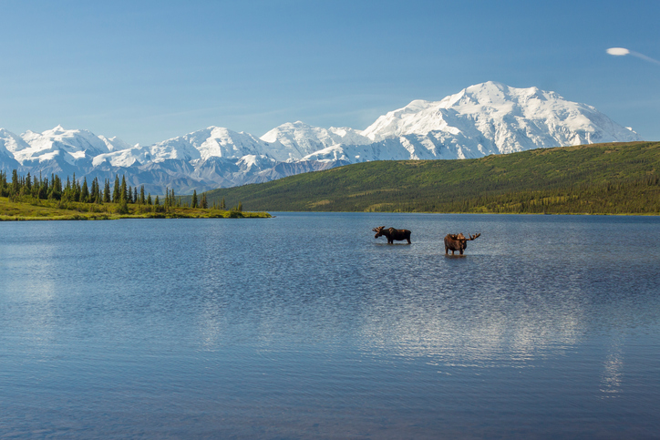 ALASKA, la última frontera