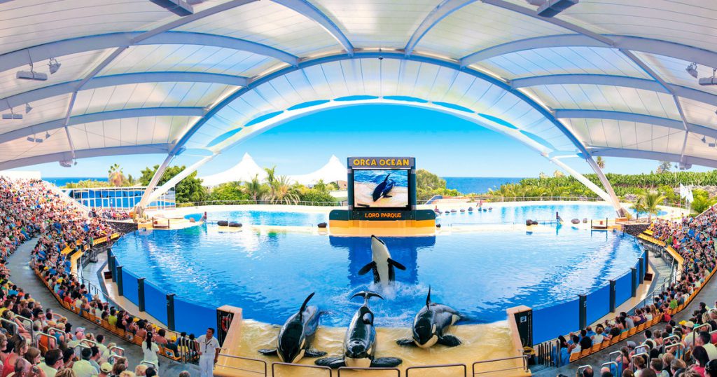 Thomas Cook dejará de vender entradas para Loro Parque en Tenerife