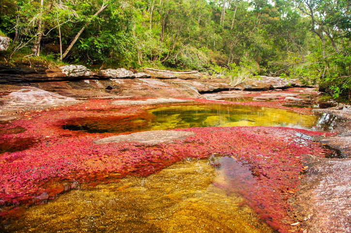Colombia se lanza al mundo como tesoro natural de América en tiempos de paz