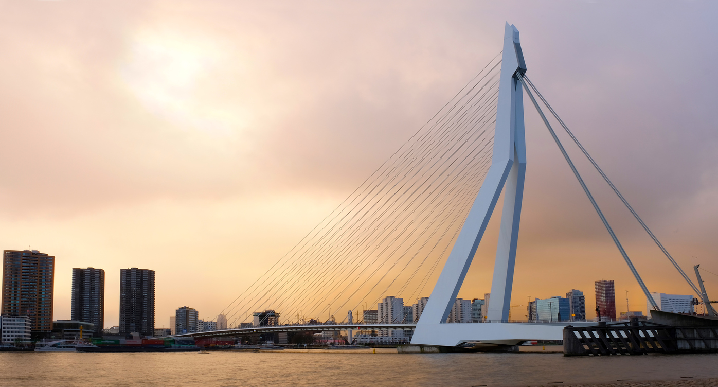 Erasmus Bridge in Rotterdam