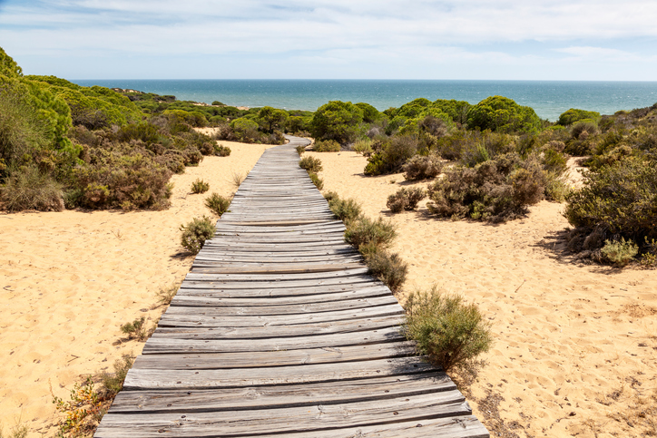 Wooden walkway to the beach