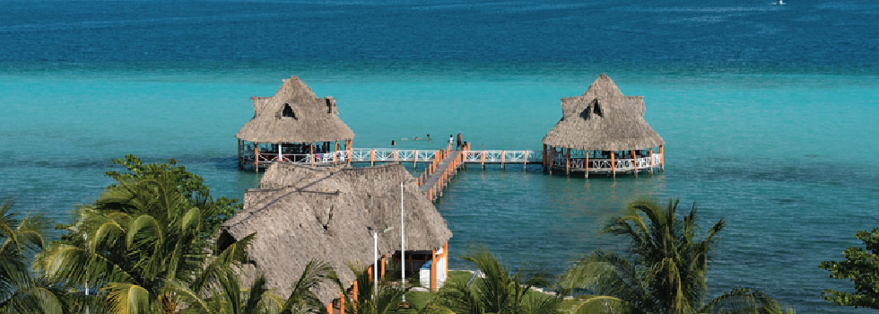 bacalar aw pro-01