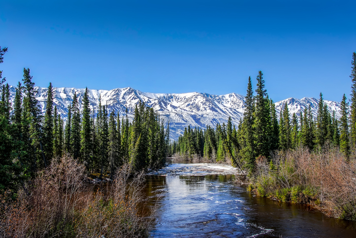 An adventure in the Wrangell-St. Elias National Park, Alaska
