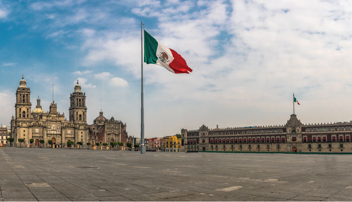 PRO 14 ENE 2019 CDMX-10