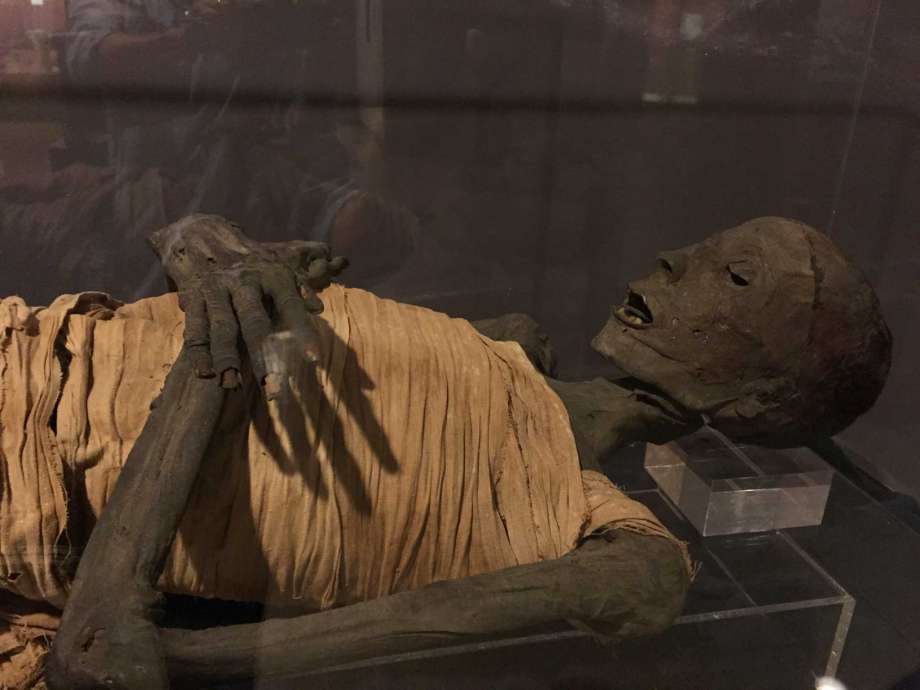 Visita los museos más raros del mundo