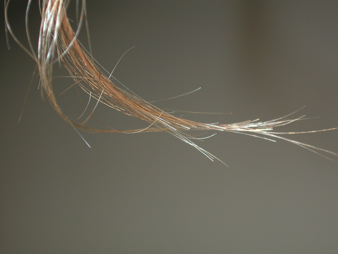British museum to return royal hair seized in Ethiopia 150 years ago