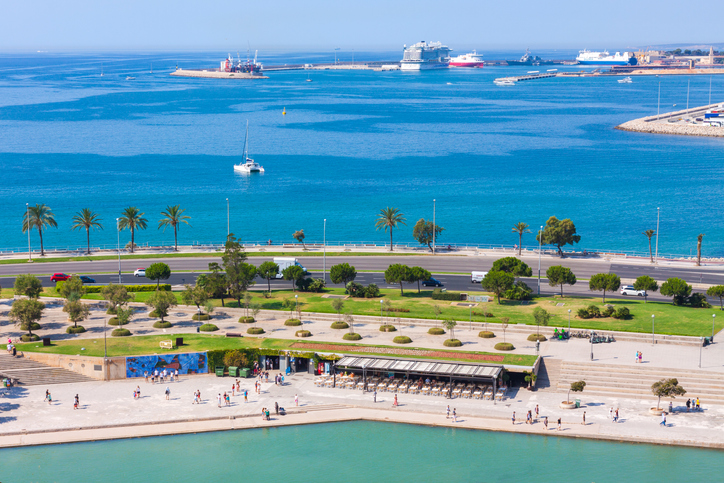 MSC Cruceros realizará este año 102 escalas en Palma, un 12 % más