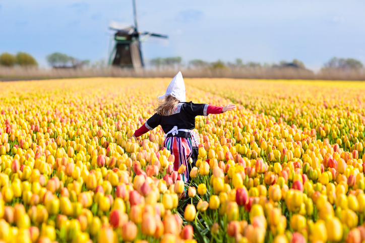 7 reasons to visit Holand in 2019