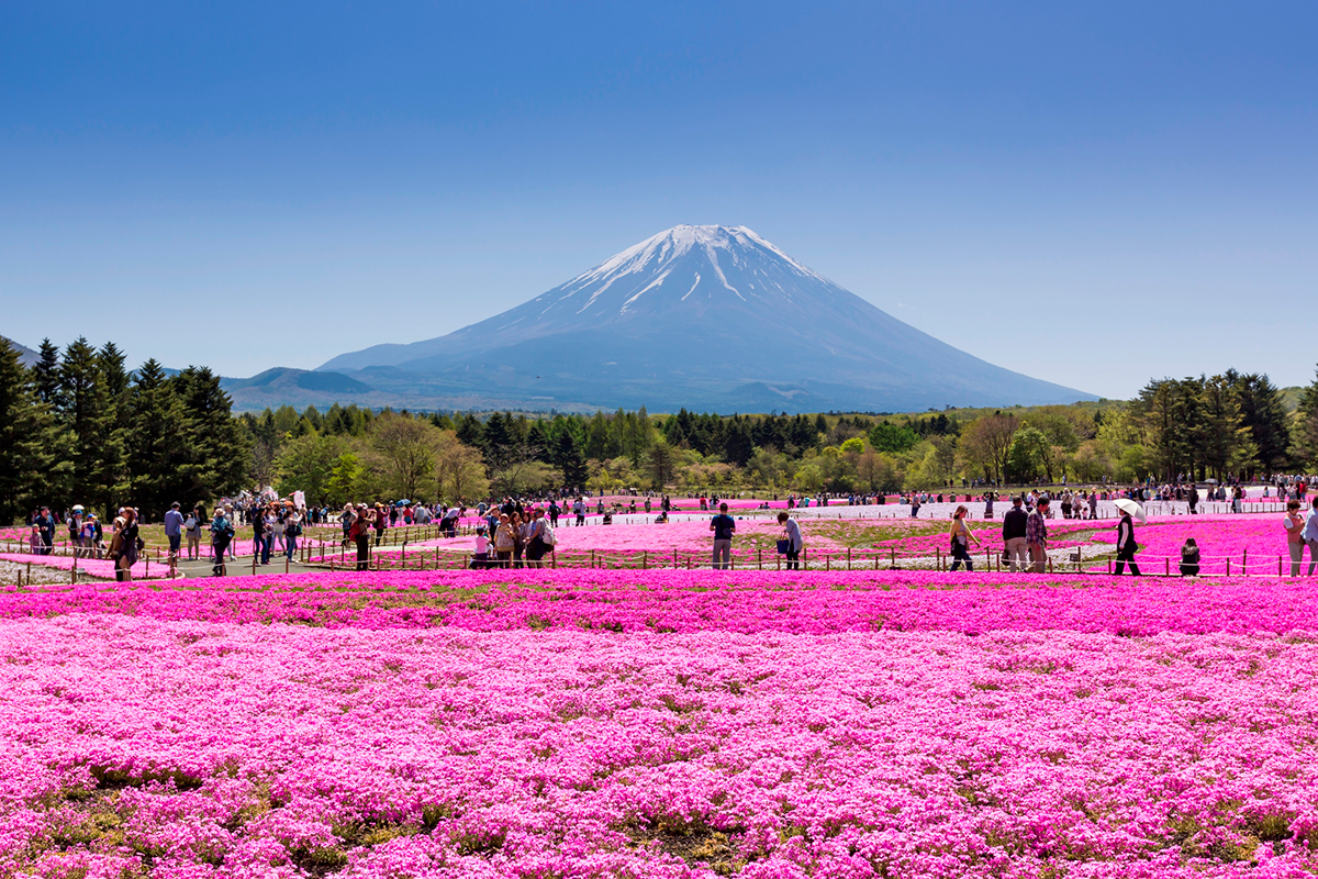 Festivales de flores en Japón