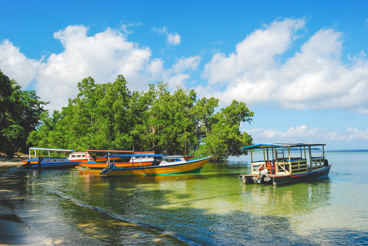 Bunaken boats