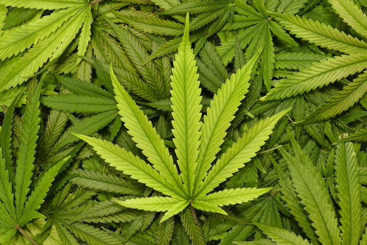 Stay off the weed, Canada tells flight controllers and crews