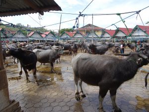 mercado_bolu_indonesia