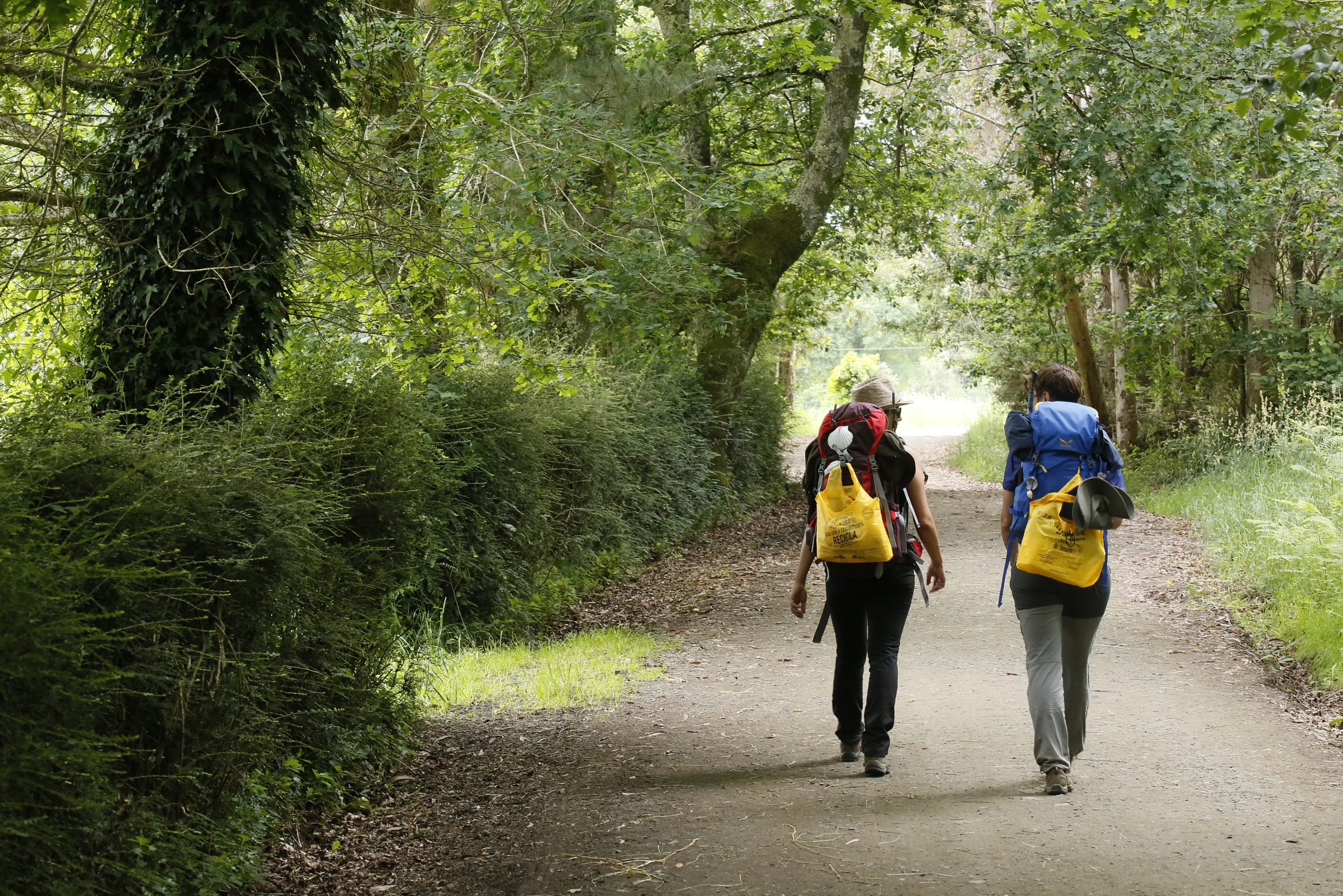 Por un Camino de Santiago libre de ‘basuraleza’