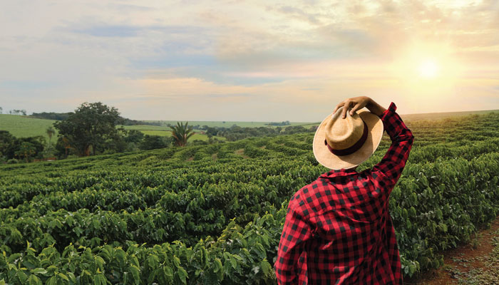 Campo en Veracruz, M&eacute;xico