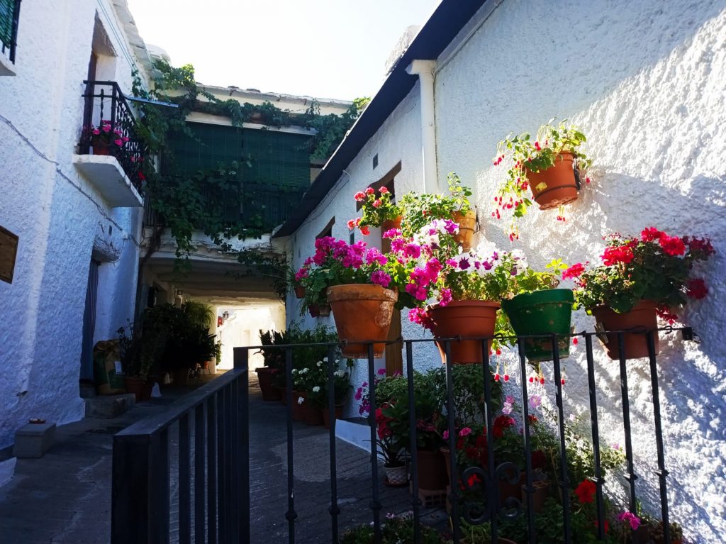 Alpujarra & Granada