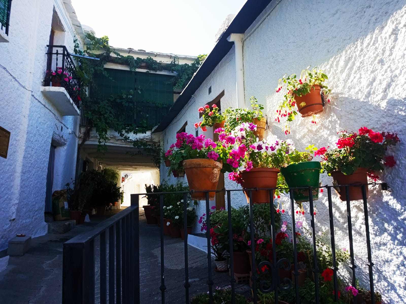 La Alpujarra granadina y Granada
