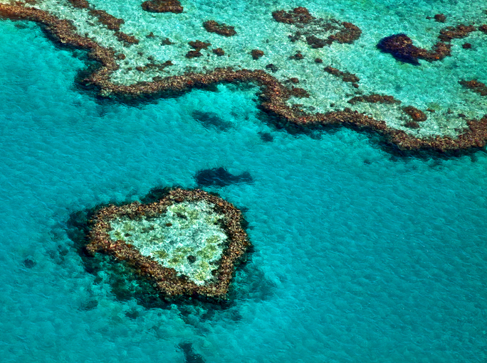 Australia’s Great Barrier Reef in “very poor” condition