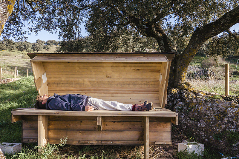 la-donaira-bee-bed