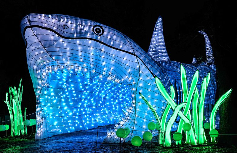 Sea animal lanterns shine in Paris