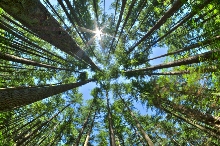 Expertos instan a sector turístico a una nueva relación con el medioambiente