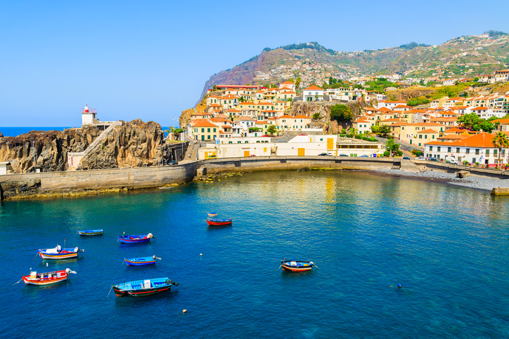 Madeira, an authentic paradise for whale and dolphin watching