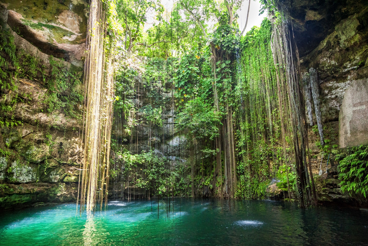 Grupo Xcaret invierte 50 millones de dólares en parque en sureste mexicano