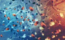 Concerts, sports events cancelled in Gulf as virus spreads