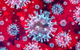 What you need to know about the coronavirus right now