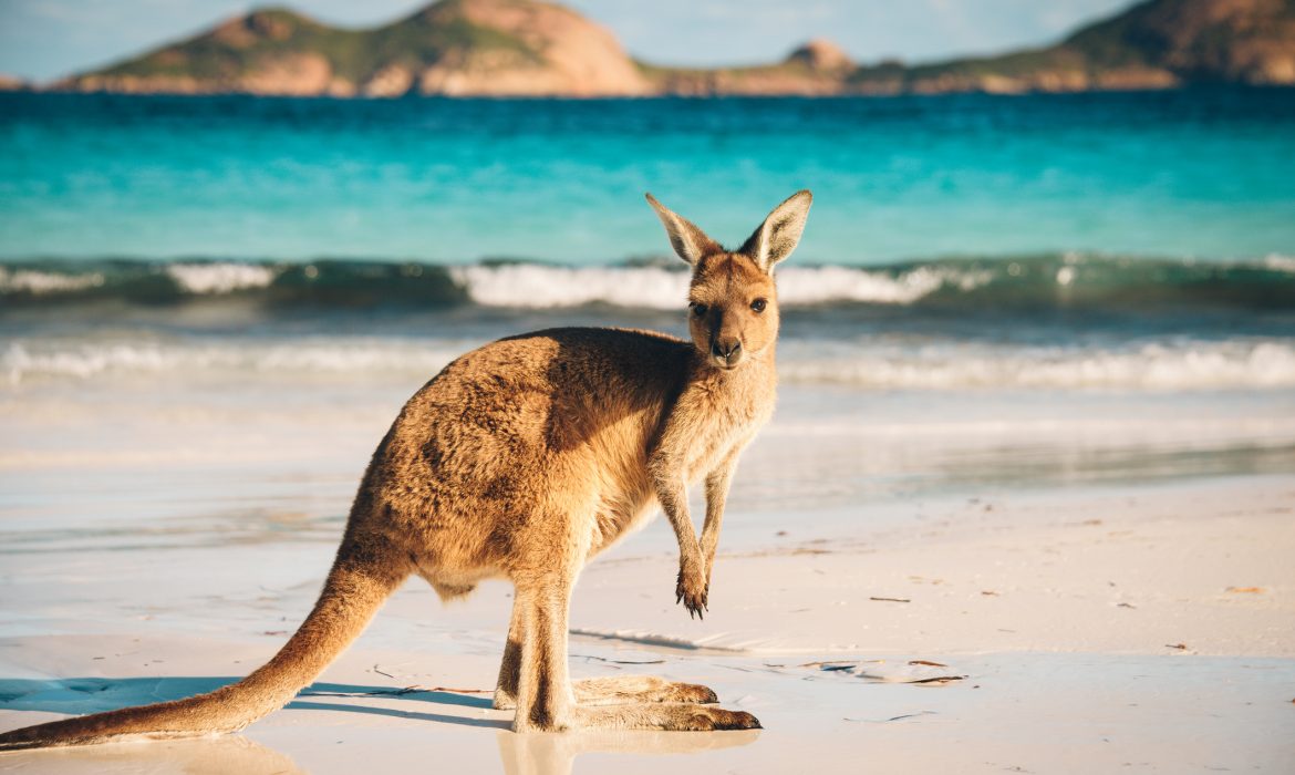 Australian states argue over opening borders for domestic tourism