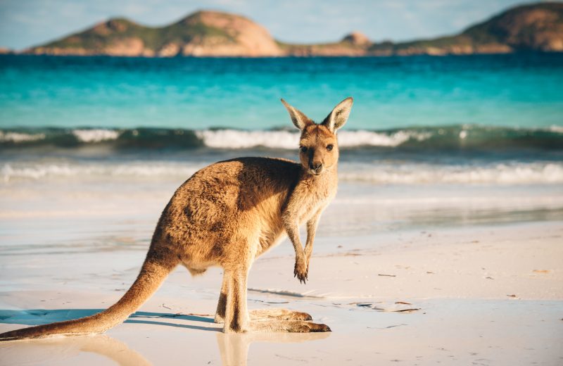 Australian states argue over opening borders for domestic tourism