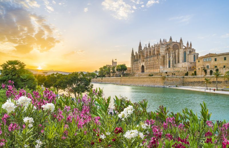 Sun-seeking Germans touch down in Mallorca in cautious tourism revival