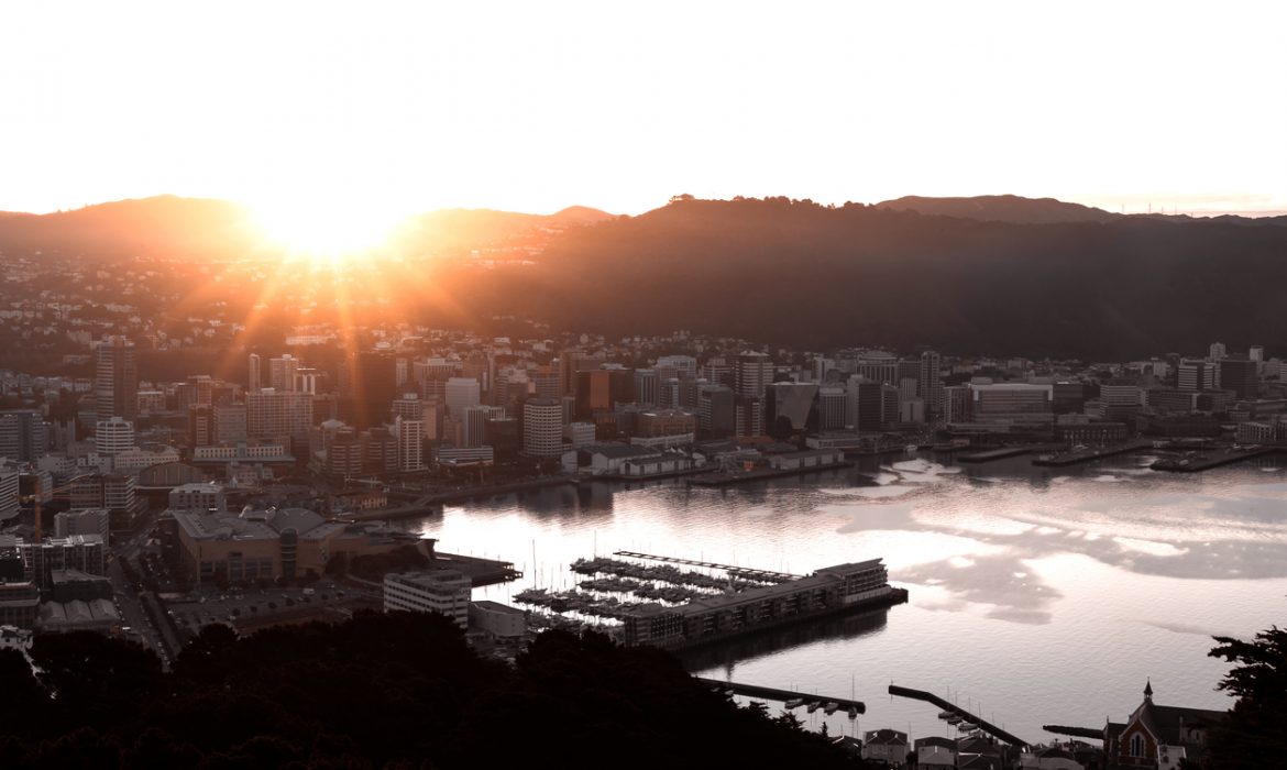 With coronavirus under control, Vietnam and New Zealand see different travel trends